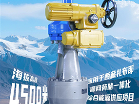 4500米！良固閥門集團服務全球海拔最高的光熱電站