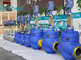 良固閥門開拓非洲能源新藍海，誠邀全球合作伙伴共襄綠色未來