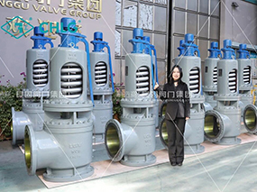良固閥門為華能熱電項目交付一批高溫高壓安全閥Delivered a Batch of Safety Valves for China Huaneng Thermal Power Project